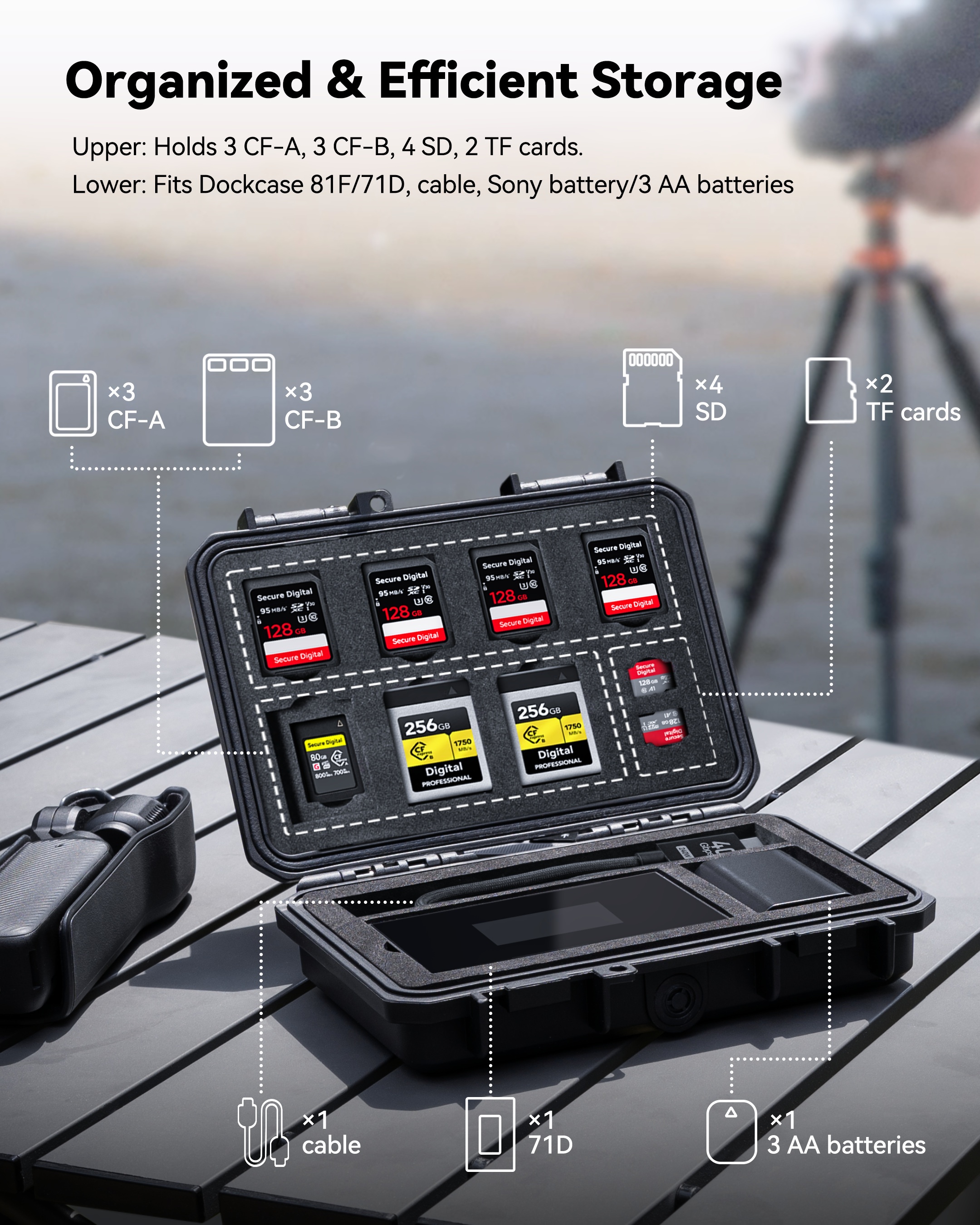 Dockcase Memory Card Case